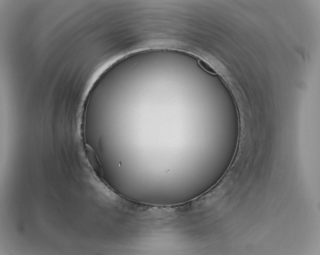 X0000113370912200909291048