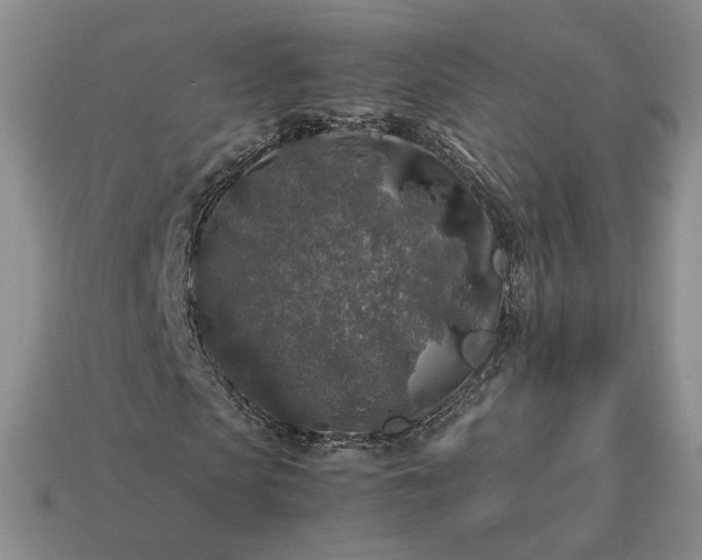 X0000113370913200909291048