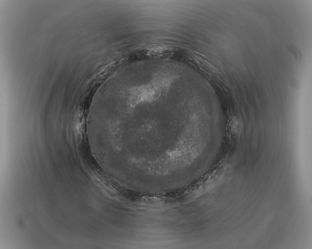 X0000113370914200909291048