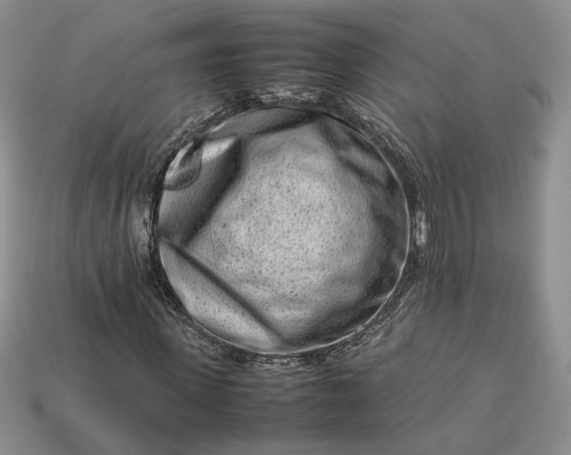 X0000113370915200909291048