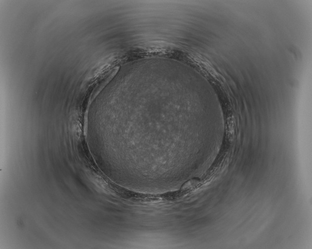 X0000113370916200909291048