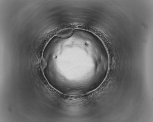 X0000113370917200909291048