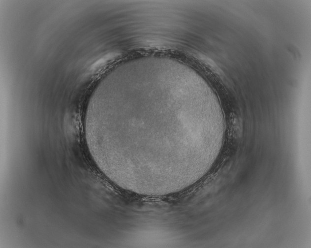 X0000113370918200909291048