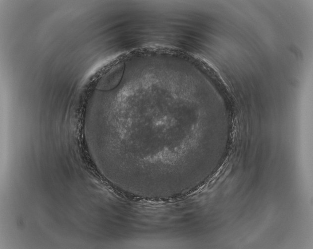 X0000113370919200909291048