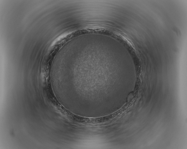 X0000113370920200909291048