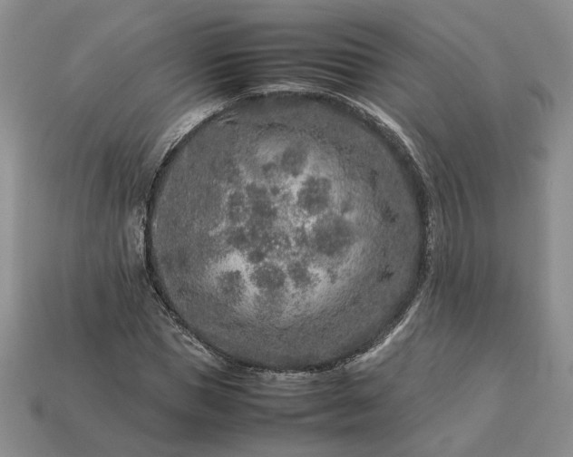 X0000113370921200909291048