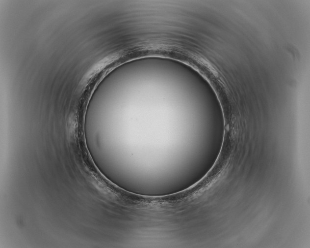 X0000113370922200909291048