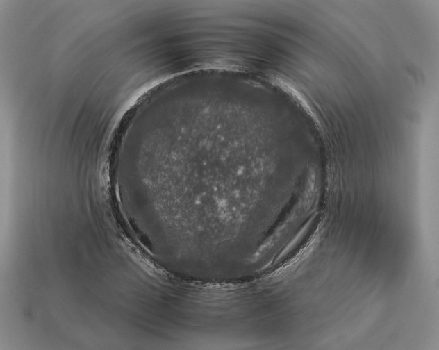 X0000113370923200909291048