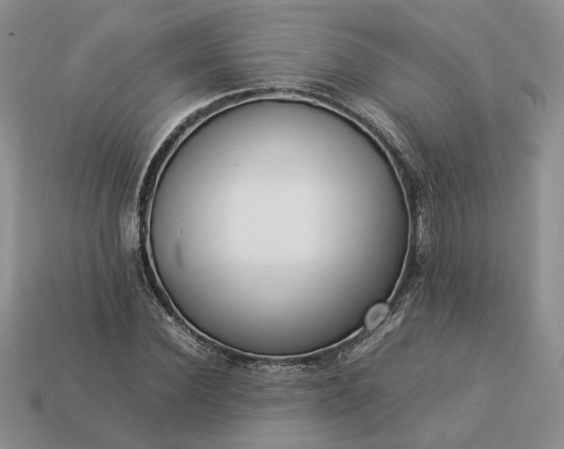 X0000113370924200909291048