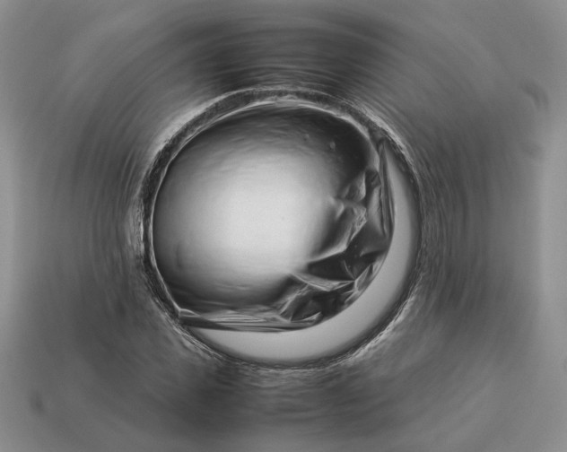 X0000113370925200909291048