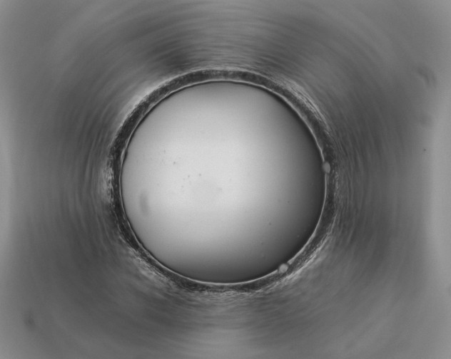 X0000113370926200909291048