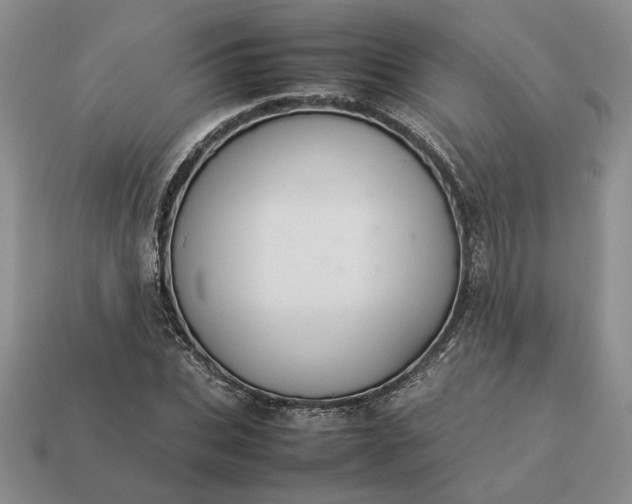 X0000113370927200909291048