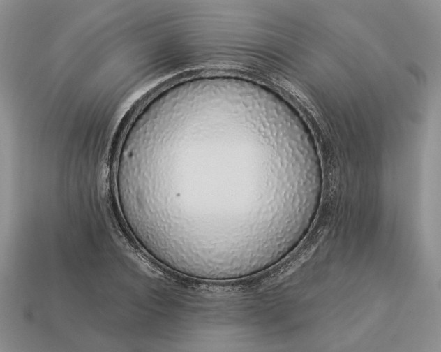 X0000113370928200909291048