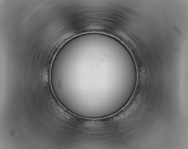 X0000113370929200909291048