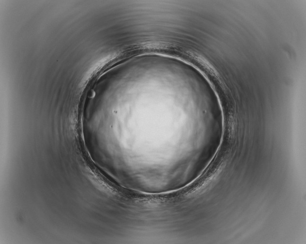 X0000113370930200909291048