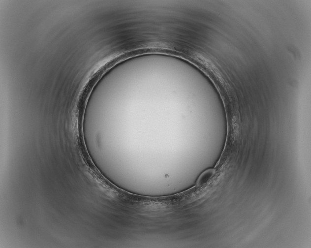 X0000113370931200909291048