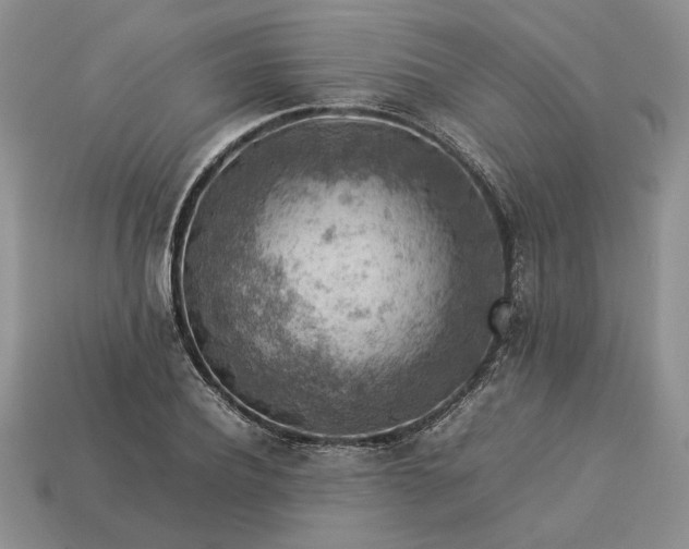 X0000113370932200909291048