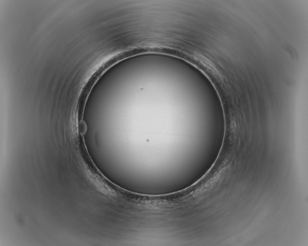 X0000113370934200909291048