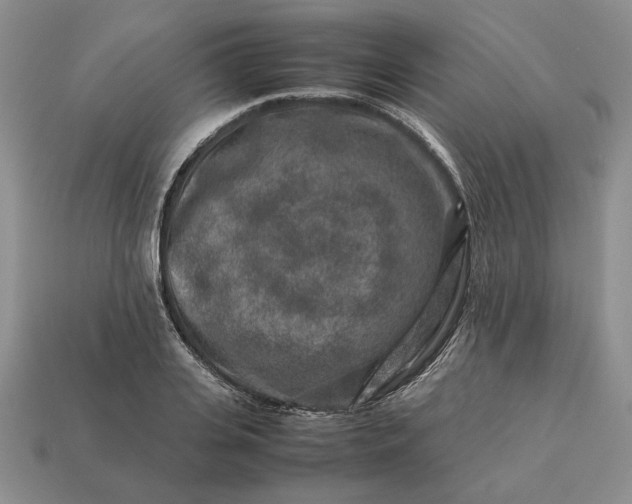 X0000113370935200909291048