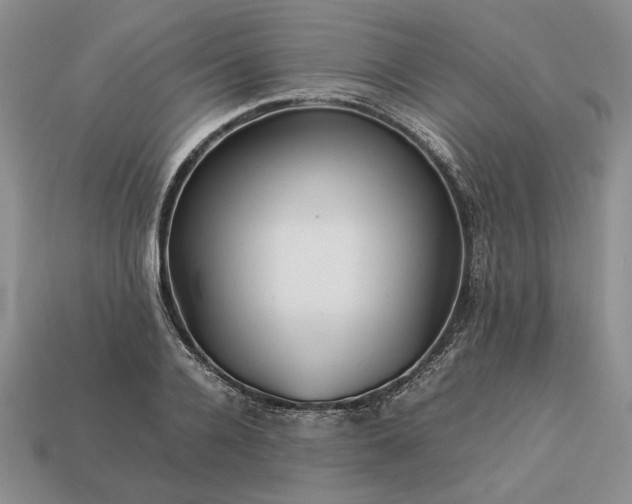 X0000113370936200909291048