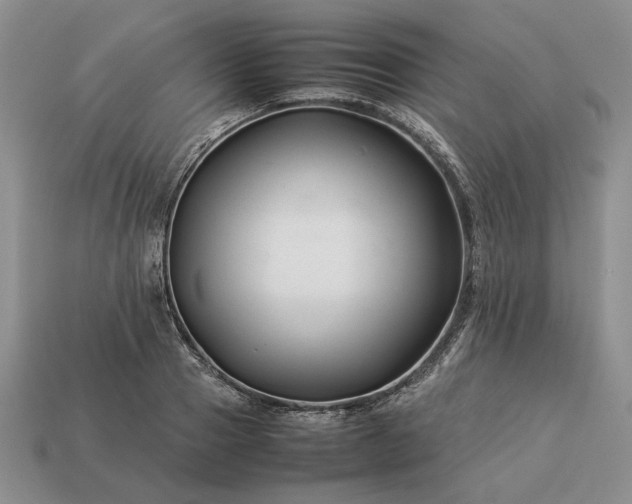 X0000113370937200909291048