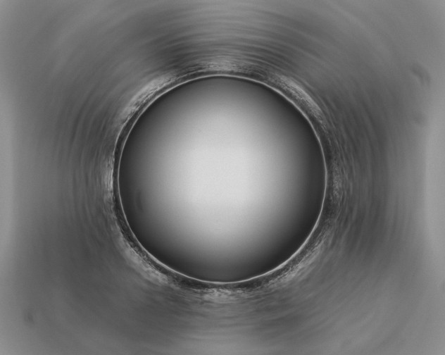 X0000113370938200909291048