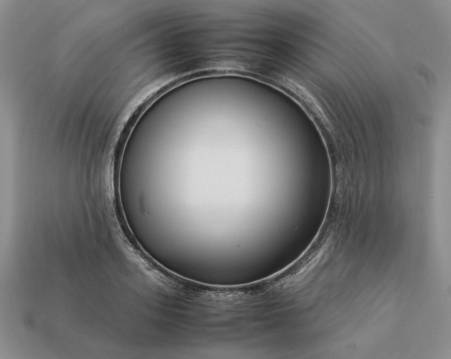 X0000113370939200909291048