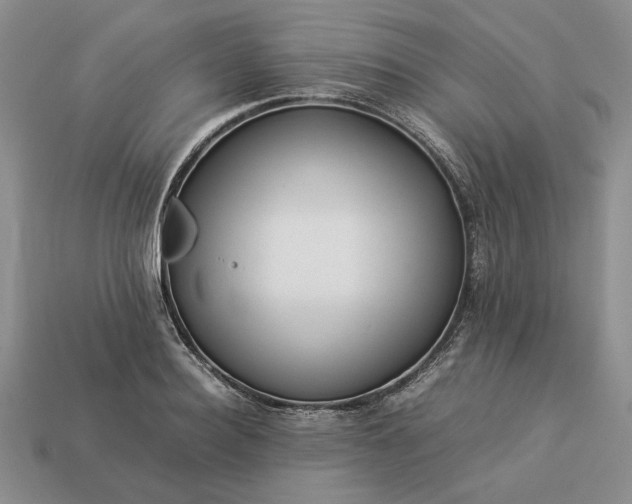 X0000113370940200909291048