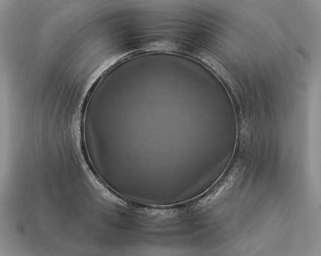 X0000113370941200909291048