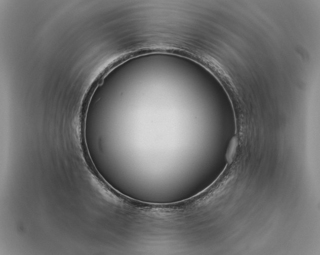 X0000113370942200909291048