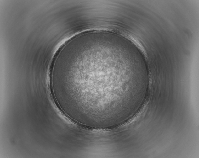 X0000113370944200909291048