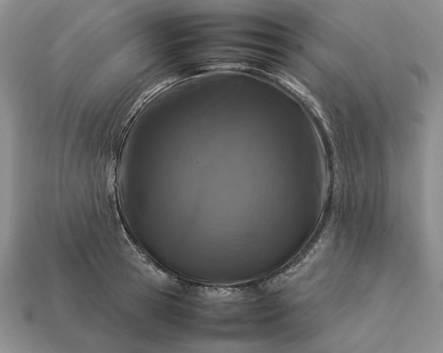 X0000113370945200909291048