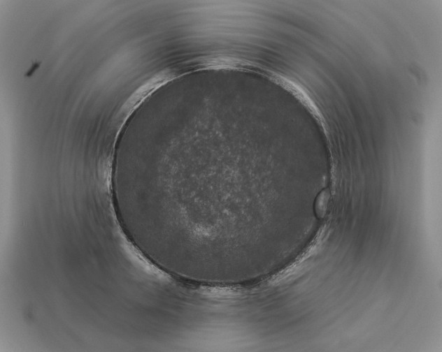 X0000113370946200909291048