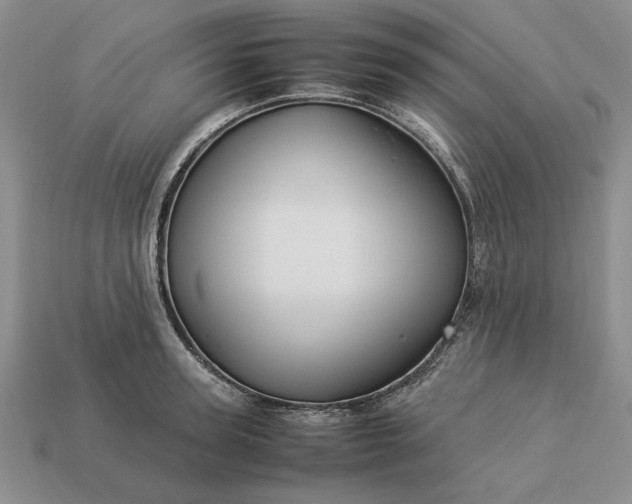 X0000113370947200909291048