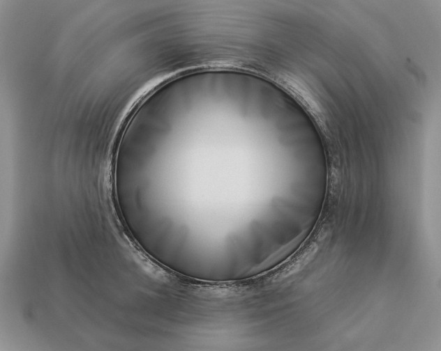 X0000113370948200909291048