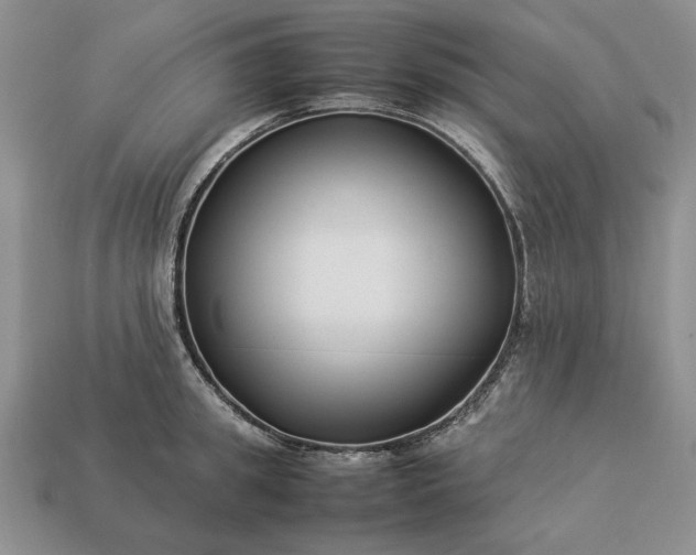 X0000113370949200909291048