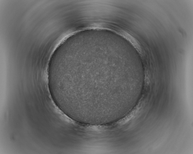 X0000113370950200909291048