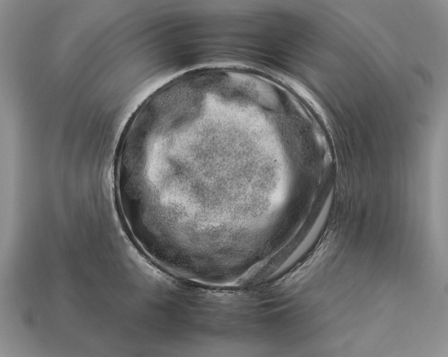 X0000113370951200909291048