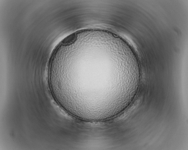 X0000113370952200909291048