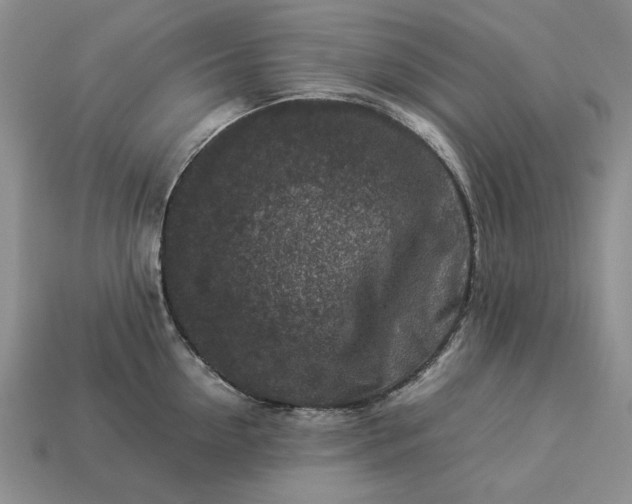 X0000113370954200909291048