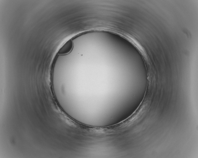 X0000113370956200909291048