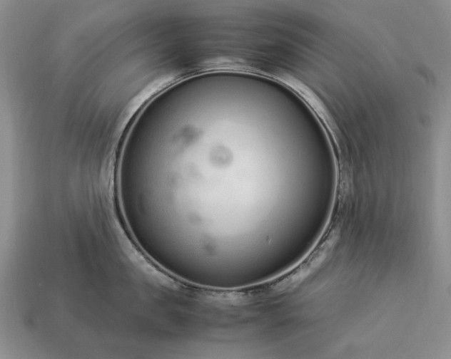 X0000113370957200909291048