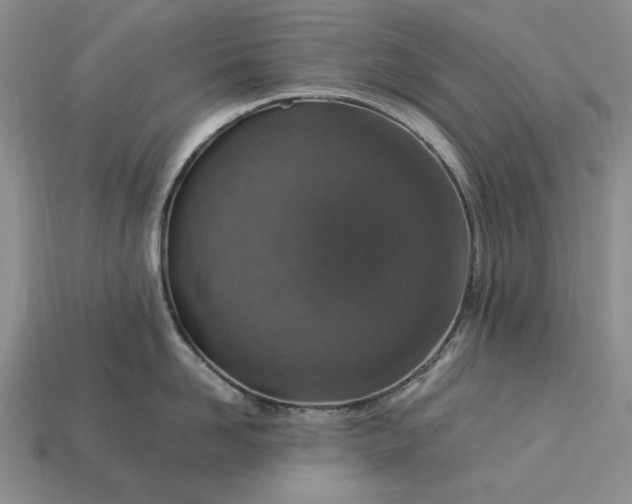 X0000113370958200909291048