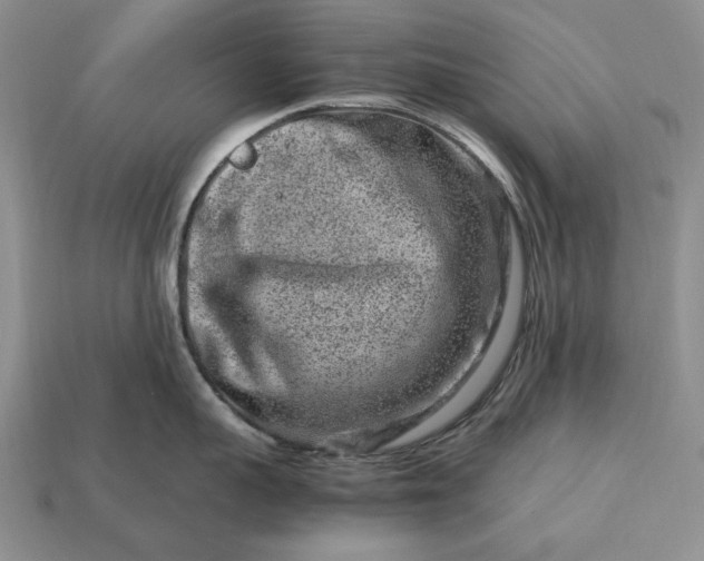 X0000113370959200909291048