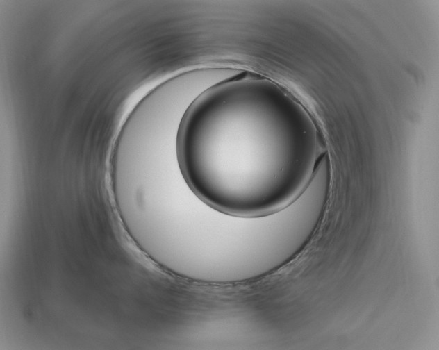 X0000113370960200909291048