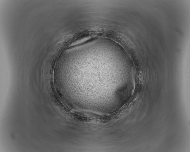 X0000113370961200909291048