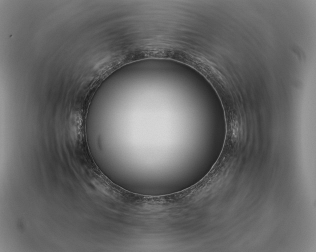 X0000113370964200909291048