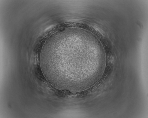 X0000113370965200909291048