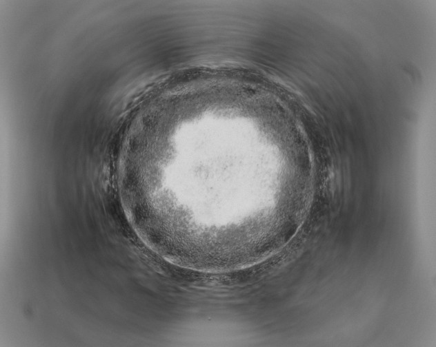 X0000113370966200909291048