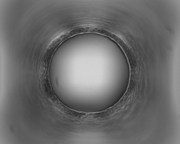 X0000113370967200909291048